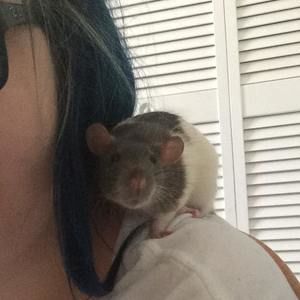 Meet your Posher, Courtney